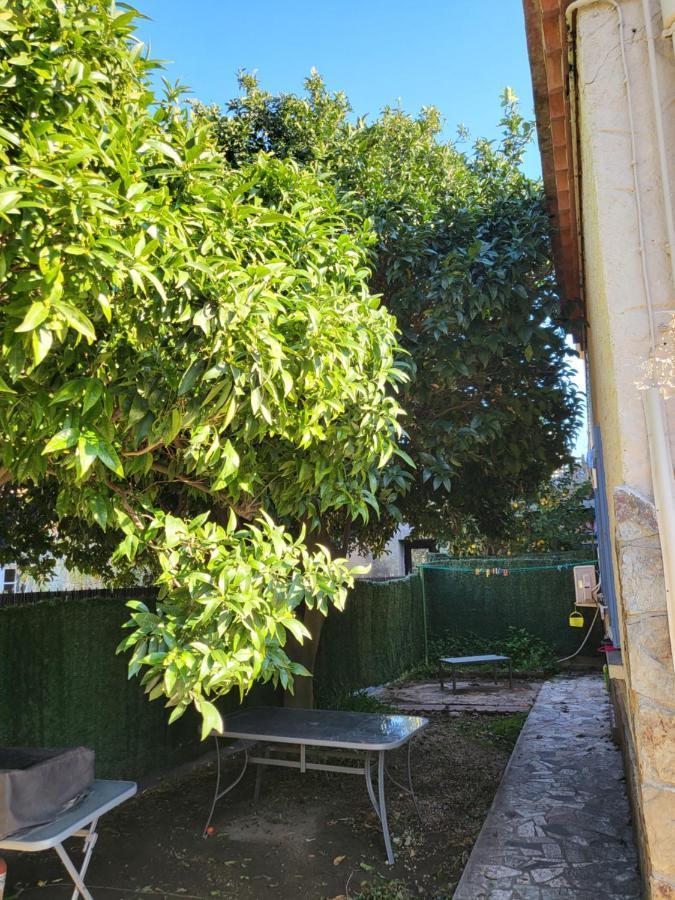 Apartmán Clementine Collioure Exteriér fotografie